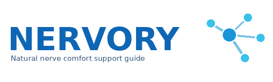 Nervory logo